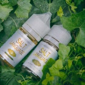 【TAMI 鹽語菸油】小煙機菸油/35ml/35mg丁鹽